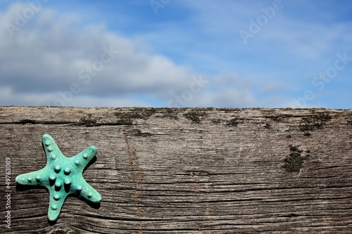 Fotografie, Obraz Starfish on barnwood with sky at the beach