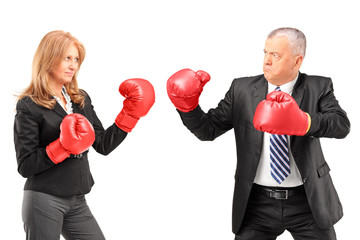 Wall Mural - Mature businesswoman with boxing gloves having a fight with a bu