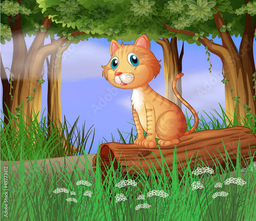 Foto-Fahne - A cat in a forest (von GraphicsRF)