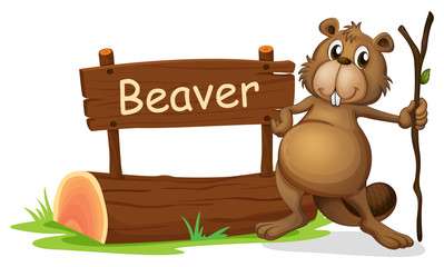 Wall Mural - A signboard and a beaver with a stick