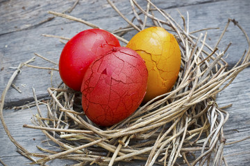 Easter eggs on a nest over wood background