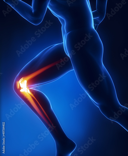 Plakat na papierze fotorealistycznym Anatomia kolana działa