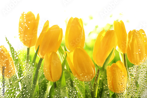 Naklejka - mata magnetyczna na lodówkę Yellow tulips