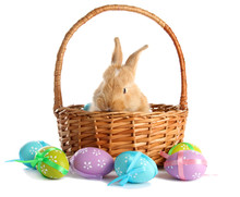 Fluffy Foxy Rabbit In Basket With Easter Eggs Isolated On White