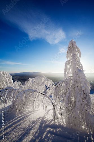 Fototapeta do kuchni Lapland Finland