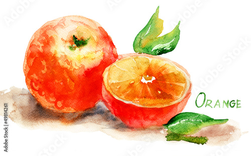 Naklejka - mata magnetyczna na lodówkę Watercolor illustration of Orange