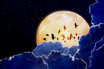 Wall Mural - full moon, ravens