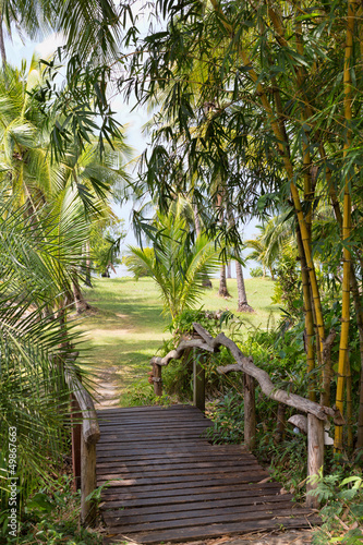 Obraz w ramie wooden bridge in the jungle