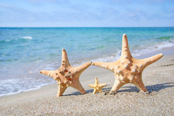 Sticker - family holiday concept - sea-stars walking on sand beach against