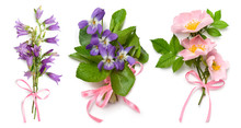 Bouquet Of Wild Violets, Dog Rose And Bell Flowers