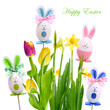 Spring flowers and rabbits