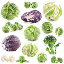 Collection Of Fresh Cabbage, Isolated On White Background 