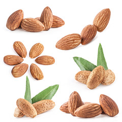 Wall Mural - Collection of almond nuts with leaves isolated on white