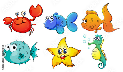 Naklejka dekoracyjna The different sea creatures