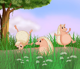 Poster - Three molehogs playing