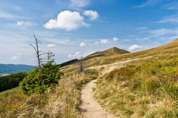 Sticker - Carpathian mountains