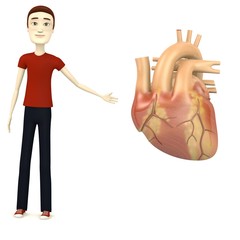 Wall Mural - 3d render of cartoon character with human heart