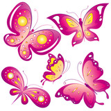 Fototapeta Motyle - butterfly,butterflies