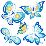 Fototapeta Motyle - butterfly,butterflies