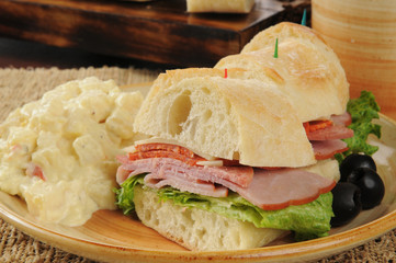 Canvas Print - Italian sandwich and potato salad