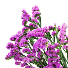 Bouquet From Purple Statice Flowers Arrangement Centerpiece Isol