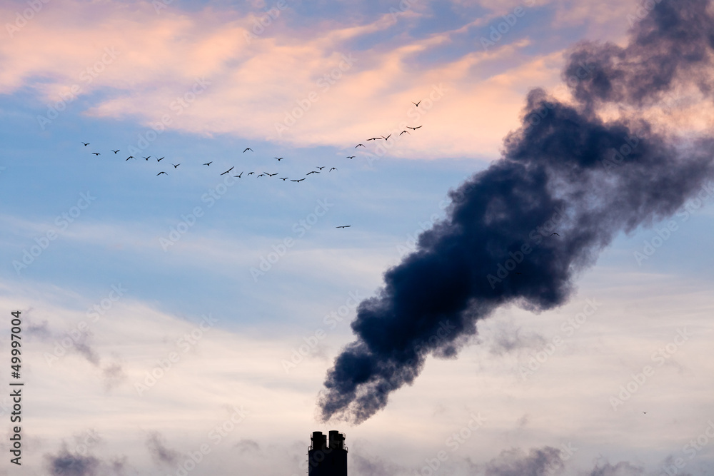 Industrial pollution chimneys and wildlife concept