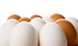 bio-eggs on white background
