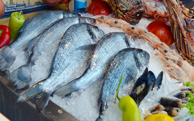 Wall Mural - showcase of seafood in the sea market