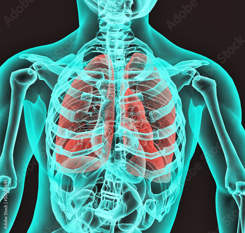 Fotografia Radiografia aparato respiratorio