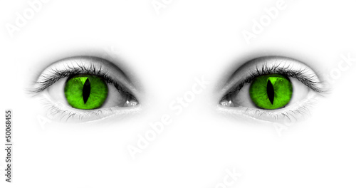 Cuadros en Lienzo Yeux verts femme-chat, fond blanc