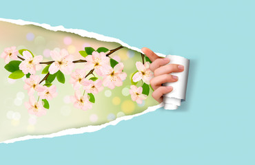 Poster - Nature background with green grass and sky and ripped paper. Vec
