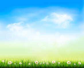 Poster - Nature background. Vector illustration