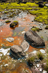 Hot springs pond Chiang Mai on Doi Pha Hom Pok