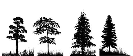 Wall Mural - trees in grass set isolated on white