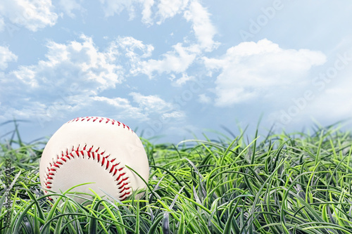 Board z aluminiowym obramowaniem Baseball w trawie