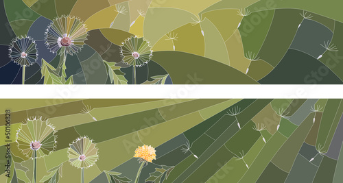 Obraz w ramie Horizontal illustration of flowers dandelion.