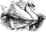 160_f_50115069_mqhgzu0f8np1avbkdrq8ky7uy2ekmbwy