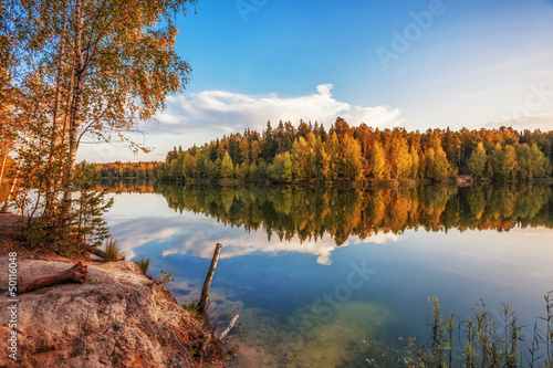 Naklejka na szafę autumnal lake near the forest