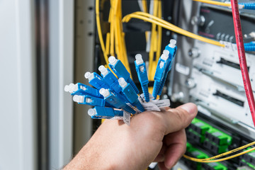 Wall Mural - ethernet cables connected to switch