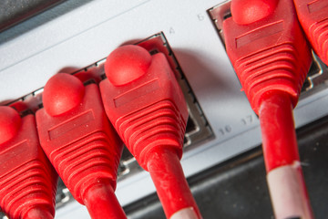 network hub and patch cables