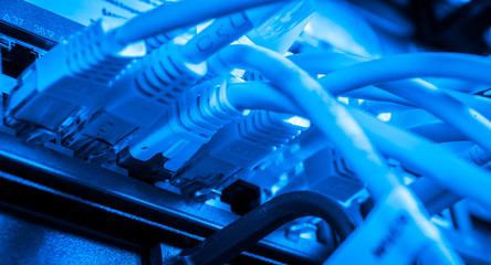network hub and patch cables