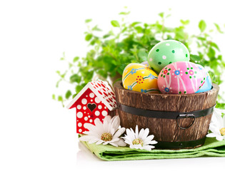 Wall Mural - Easter eggs in the pot with green grass isolated on white