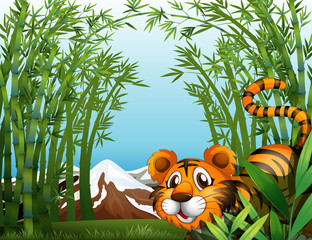 Poster - A bamboo forest with a tiger