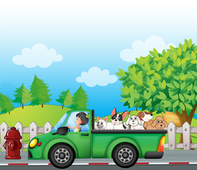 Wall Mural - A green car along the street with dogs at the back