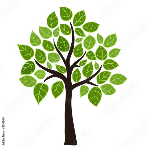 Nowoczesny obraz na płótnie Wektorowe drzewo z zielonymi liśćmi na białym tle