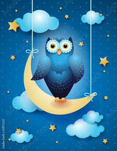 Fototapeta na wymiar Owl and moon