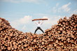 © endostock - man on  top of large pile of logs, shouting, lifting heavy log