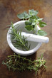 © John Block/Blend Images - Mortar and pestle with fresh herbs