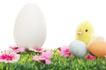  Chick on grass with flowers and easter eggs