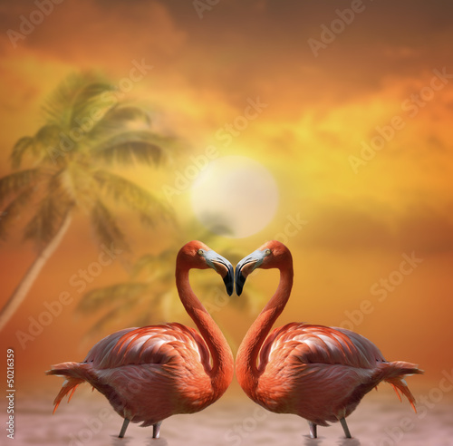 Plakat na papierze fotorealistycznym Różowe flamingi